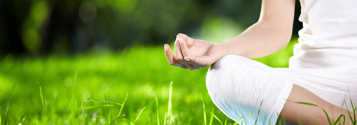 blog1-chiropractic-wellness-care.jpg chiropractor near me for wellness care